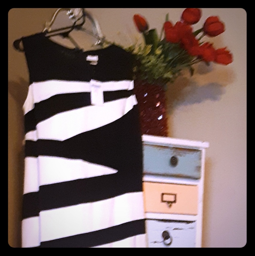 Chico's Mesh Bottom Dress